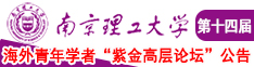 啊～用cao嗯力cao烂我视频南京理工大学第十四届海外青年学者紫金论坛诚邀海内外英才！